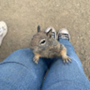 Meet your Posher, Summer